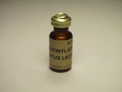 Vector Laboratories Lotus Tetragonolobus Lectin (LTL) Biotinylated 2 mg