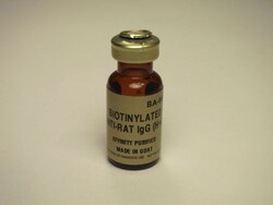 Vector Laboratories Goat Anti-Rat IgG Antibody Biotinylated 1.5 mg, Quantity:
