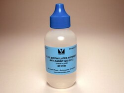 Vector Laboratories Goat Anti-Rabbit IgG Antibody Biotinylated Ready to