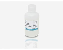 Vector Laboratories Glycoprotein Eluting Solution for Galactose/GalNAc