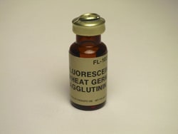 Vector Laboratories Wheat Germ Agglutinin (WGA) Fluorescein-labeled 5 mg,