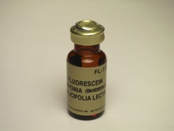 Vector Laboratories Griffonia (Bandeiraea) Simplicifolia Lectin I (GSL I, BSL I), Fluorescein-labeled 5 mg
