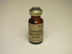 Vector Laboratories Erythrina Cristagalli Lectin (ECL, ECA) Fluorescein-labeled
