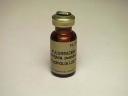 Vector Laboratories Griffonia (Bandeiraea) Simplicifolia Lectin II (GSL