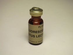Vector Laboratories Lotus Tetragonolobus Lectin (LTL) Fluorescein-labeled 2 mg