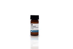 Vector Laboratories VECTASHIELD Antifade Mounting Medium With DAPI 10 ml