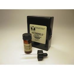 Vector Laboratories VECTASHIELD HardSet Antifade Mounting Medium With DAPI