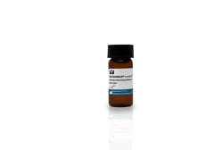 Vector Laboratories VECTASHIELD HardSet™ Antifade Mounting Medium With DAPI 10 ml