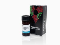 Vector Laboratories VECTASHIELD® HardSet™ Antifade Mounting Medium With