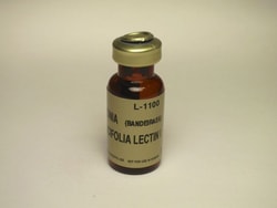Vector Laboratories Griffonia (Bandeiraea) Simplicifolia Lectin I (GSL