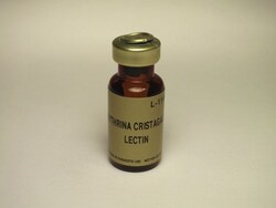 Vector Laboratories Erythrina Cristagalli Lectin (ECL, ECA) Unconjugated 10 mg