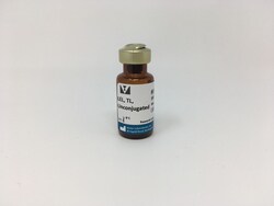 Vector Laboratories Lycopersicon Esculentum (Tomato) Lectin (LEL, TL),