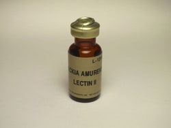 Vector Laboratories Maackia Amurensis Lectin II (MAL II) Unconjugated 2