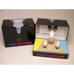 Vector Laboratories VECTASTAIN ABC-HRP Kit, Peroxidase (Standard) 1 Kit,