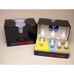 Vector Laboratories VECTASTAIN ABC-HRP (Peroxidase, Anti-Rabbit IgG) Kit,