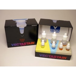 Vector Laboratories VECTASTAIN ABC-HRP (Peroxidase, Anti-Mouse IgG) Kit,