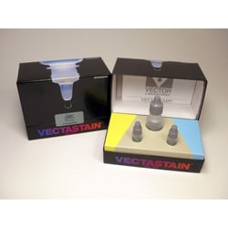 Vector Laboratories VECTASTAIN Elite ABC HRP Kit (Peroxidase, Standard)