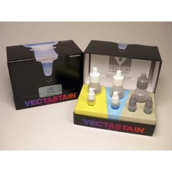 Vector Laboratories VECTASTAIN Elite ABC HRP Kit (Peroxidase, Goat IgG)