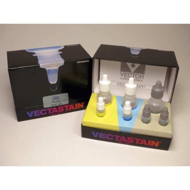 Vector Laboratories VECTASTAIN Elite ABC HRP Kit (Peroxidase