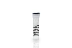 Vector Laboratories Wheat Germ Agglutinin (WGA), Peroxidase 2 ml, Quantity: