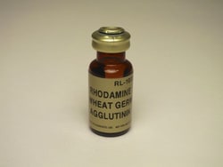 Vector Laboratories Wheat Germ Agglutinin (WGA) Rhodamine-labeled 5 mg