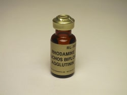 Vector Laboratories Dolichos Biflorus Agglutinin (DBA) Rhodamine-labeled