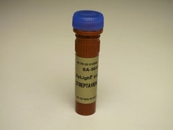 Vector Laboratories DyLight 649 Streptavidin 1 mg, Quantity: Each of 1