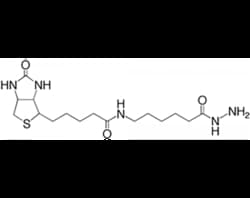 Vector Laboratories Biotin (Long Arm) Hydrazide, 50 mg, Quantity: Each