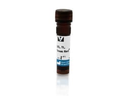 Vector Laboratories Lycopersicon Esculentum (Tomato) Lectin (LEL, TL),