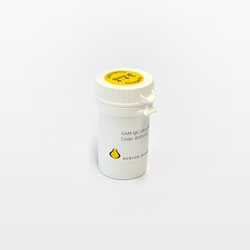 Electron Microscopy Sciences Aurion ImmunoGold Goat-anti-Mouse IgG (H&L),
