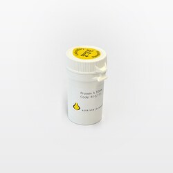Electron Microscopy Sciences Aurion EM Protein-A/Gold, EM-grade 25 nm 3.5
