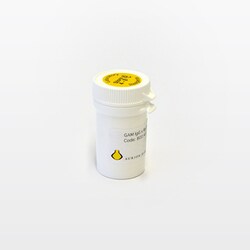 Electron Microscopy Sciences Aurion ImmunoGold Goat-anti-Mouse IgG (H+L)xRat,