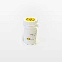 Electron Microscopy Sciences Aurion ImmunoGold Goat-anti-Rat IgG (H+L)xMouse,