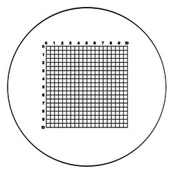 Electron Microscopy Sciences Indexed Grid Reticle RET 80, 19 mm, 10 mm x 10 mm Scale, 0.5 mm squares Divisions