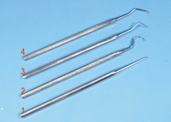 Electron Microscopy Sciences Stainless Steel Probes, 3/Set