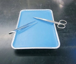 Electron Microscopy Sciences Blue Wax Dissection Tray, 1/EA