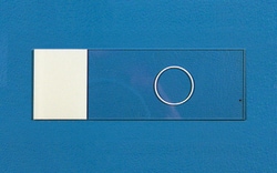Electron Microscopy Sciences Hydrophobic PTFE Printed Microscope Slide 1 Ring Wells 13 mm