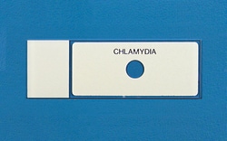 Electron Microscopy Sciences Hydrophobic PTFE Printed Microscope Slide 1 Round Well, 8 mm
