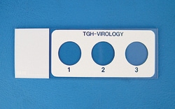 Electron Microscopy Sciences Hydrophobic PTFE Printed Microscope Slide 3 Round Wells Virology