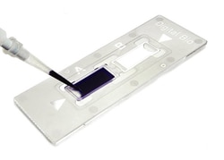 Electron Microscopy Sciences C-Chip C-Chip Hemacytometer Burker Turk, Quantity: