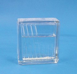 Electron Microscopy Sciences Hellendahl Staining Dish 1 each