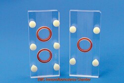 Electron Microscopy Sciences EMS Immunofluorescence 2-Chamber, Quantity: