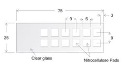 Electron Microscopy Sciences&nbsp;Oncyte Slide Avid, 12 well, 6 x 6 mm I.D.