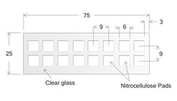 Electron Microscopy Sciences&nbsp;Oncyte Slide Nova, 16 well, 6 x 6 mm I.D.