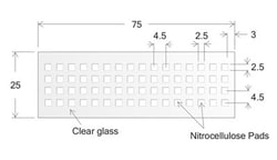 Electron Microscopy Sciences&nbsp;Oncyte Slide Nova, 64 well, 2.5 x 2.5 mm I.D.