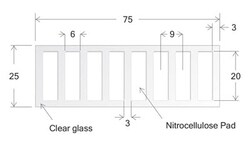Electron Microscopy Sciences&nbsp;Oncyte Slide Nova, 8 well, 6 x 20 mm I.D.