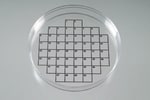 Electron Microscopy Sciences PetriStickers™ Petri Dish Labels 50-Square Grids