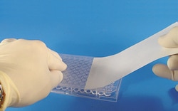 Electron Microscopy Sciences&nbsp;Titer-Tops, 6