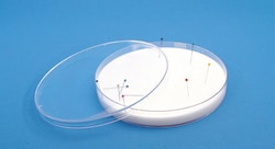 Electron Microscopy Sciences Dissecting Dish with Plastic Dish, Quantity: