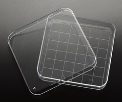 Electron Microscopy Sciences Square Petri Dish with Grid, 10/sleeve, 100/pk